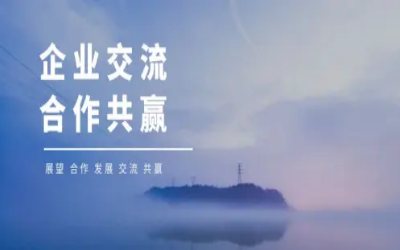 香港物联网商会莅临北京K8·凯发国际能源考察研讨